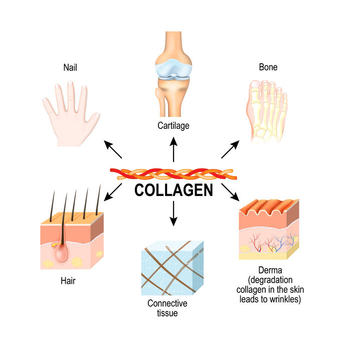 Information about collagen benefits