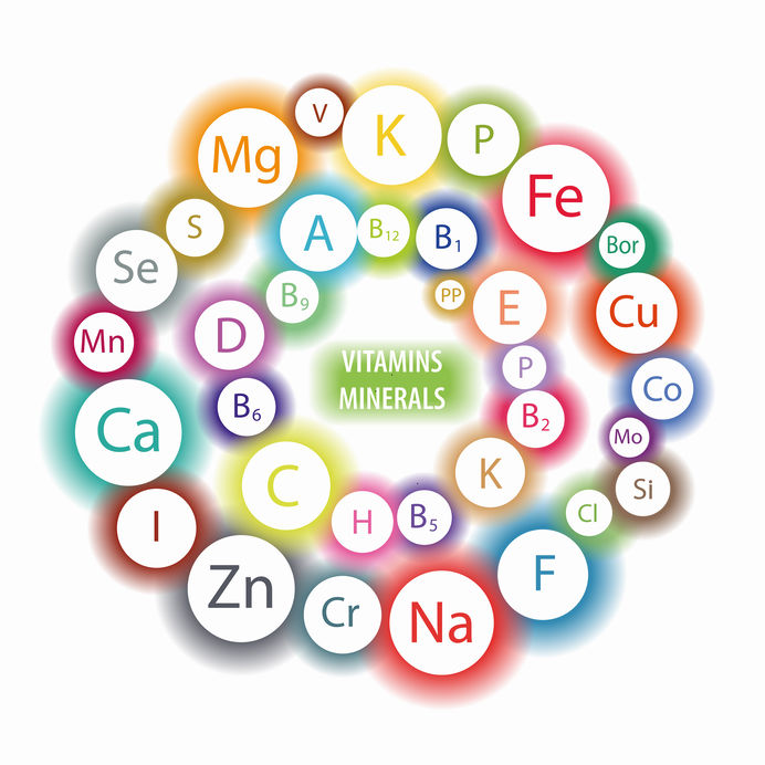 Circle showing vitamins and minerals