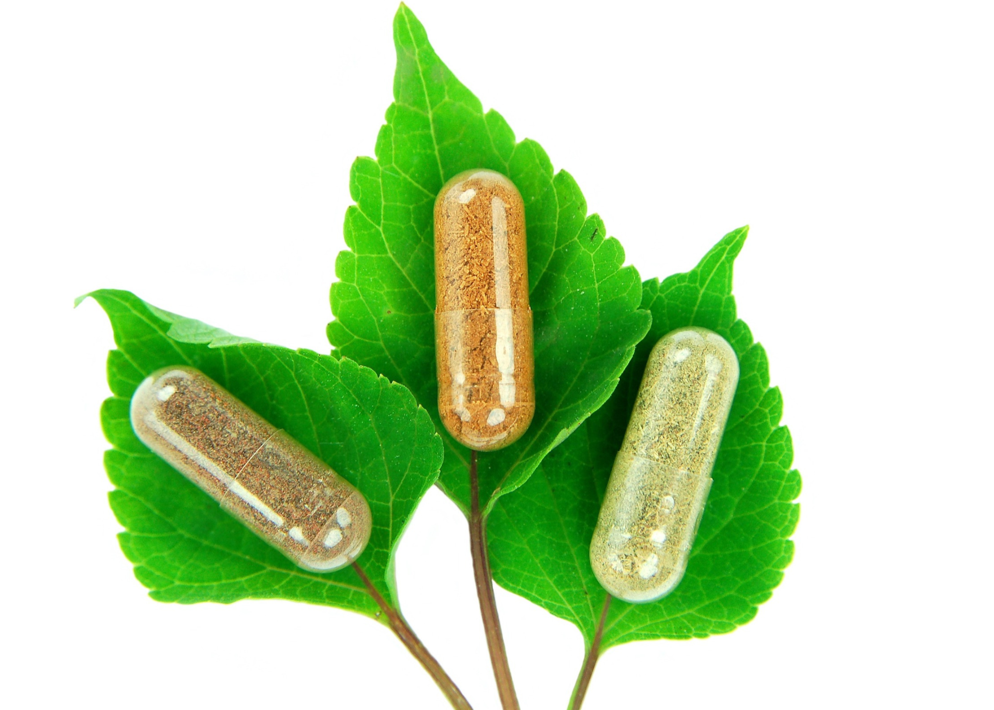 Three capsules on green leaves