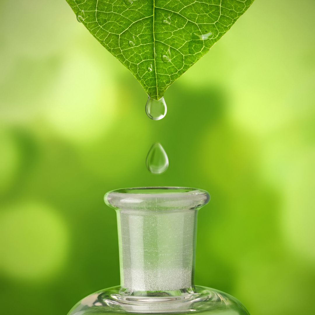 Green leaf and a bottle