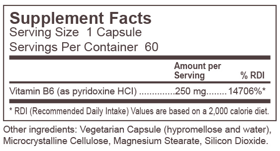 B6-250-Sustained-Release-Supplement-Facts-Dynamic-Nutritional-Associates