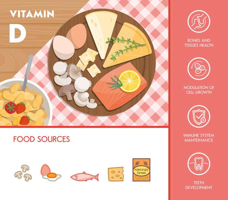 Naturally Botanicals - Vitamin D - Food sources