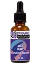 Naturally Botanicals | by Dynamic Nutritional Associates (DNA Labs) | AM-2 Heart Acupuncture Meridian Homeopathic