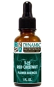 by Dynamic Nutritional Associates (DNA Labs) | T-25 RED CHESTNUT 6x, 8x, 30x Flower Essences Homeopathic Formula