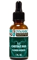 Naturally Botanicals | by Dynamic Nutritional Associates (DNA Labs) | T-7 CHESTNUT BUD 6x, 8x, 30x Flower Essences Homeopathic Formula