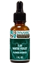 Naturally Botanicals | by Dynamic Nutritional Associates (DNA Labs) | T-34 WATER VIOLET 6x, 8x, 30x Flower Essences Homeopathic Formula