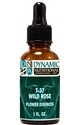 Naturally Botanicals | by Dynamic Nutritional Associates (DNA Labs) | T-37 WILD ROSE 6x, 8x, 30x Flower Essences Homeopathic Formula