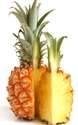 Browse by Ingredient @naturallybotanicals.com - Bromelain