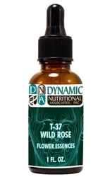 Naturally Botanicals | by Dynamic Nutritional Associates (DNA Labs) | T-37 WILD ROSE 6x, 8x, 30x Flower Essences Homeopathic Formula