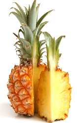 Browse by Ingredient @naturallybotanicals.com - Bromelain