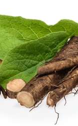 Browse by Ingredient @naturallybotanicals.com - Burdock Root