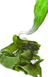 Browse by Ingredient @naturallybotanicals.com - Kelp