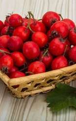 Why You Should "Heart" Hawthorn Berry - Blog