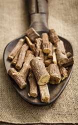 Lots to Learn About Licorice Root - Blog