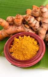 Is Turmeric Really "The Spice of Life?" - Blog