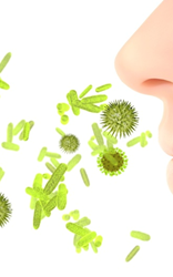 Allergies Are Nothing to Sneeze At