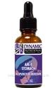 Naturally Botanicals | by Dynamic Nutritional Associates (DNA Labs) | AM-4 Stomach Acupuncture Meridian Homeopathic