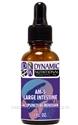 Naturally Botanicals | by Dynamic Nutritional Associates (DNA Labs) | AM-5 Large Intestine Acupuncture Meridian Homeopathic