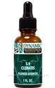 Naturally Botanicals | by Dynamic Nutritional Associates (DNA Labs) | T-9 CLEMATIS 6x, 8x, 30x Flower Essences Homeopathic Formula